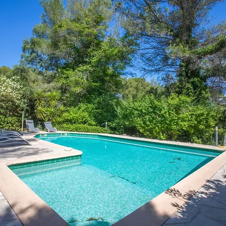 Les Cyclamens- Les Ecureuils